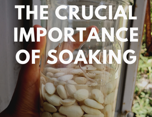 The Crucial Importance of Soaking your nuts, seeds, legumes and grains